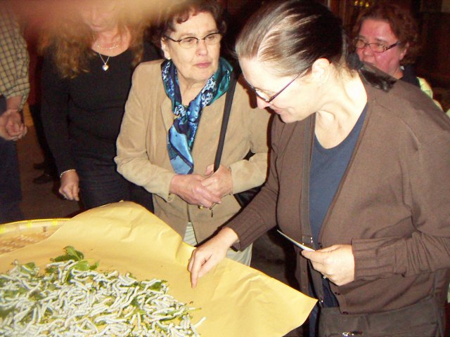 silk worms